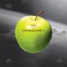 Gommagang &ndash; 4 (CD)